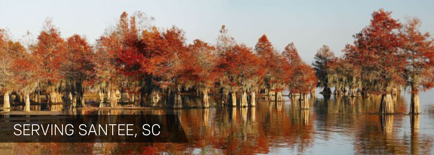 Santee City Page header