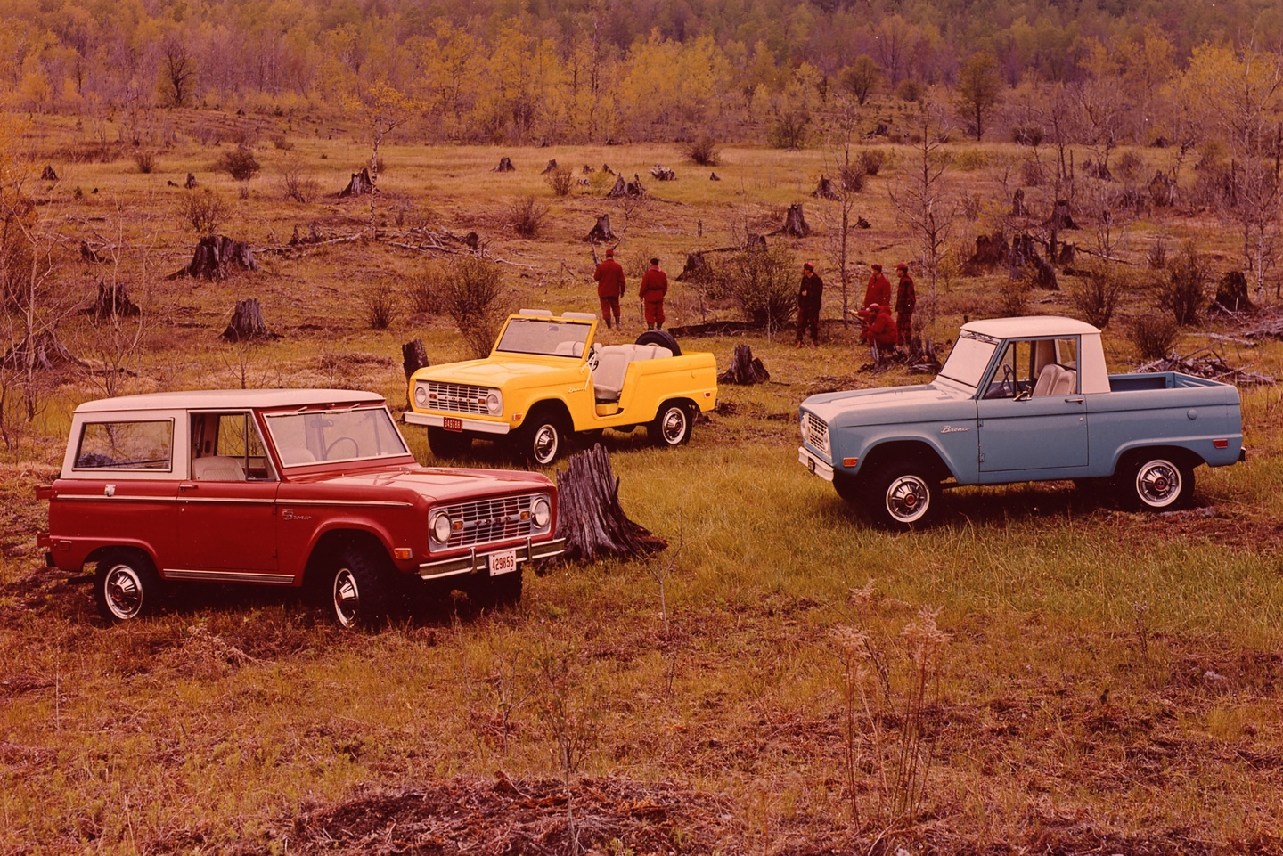 bronco2