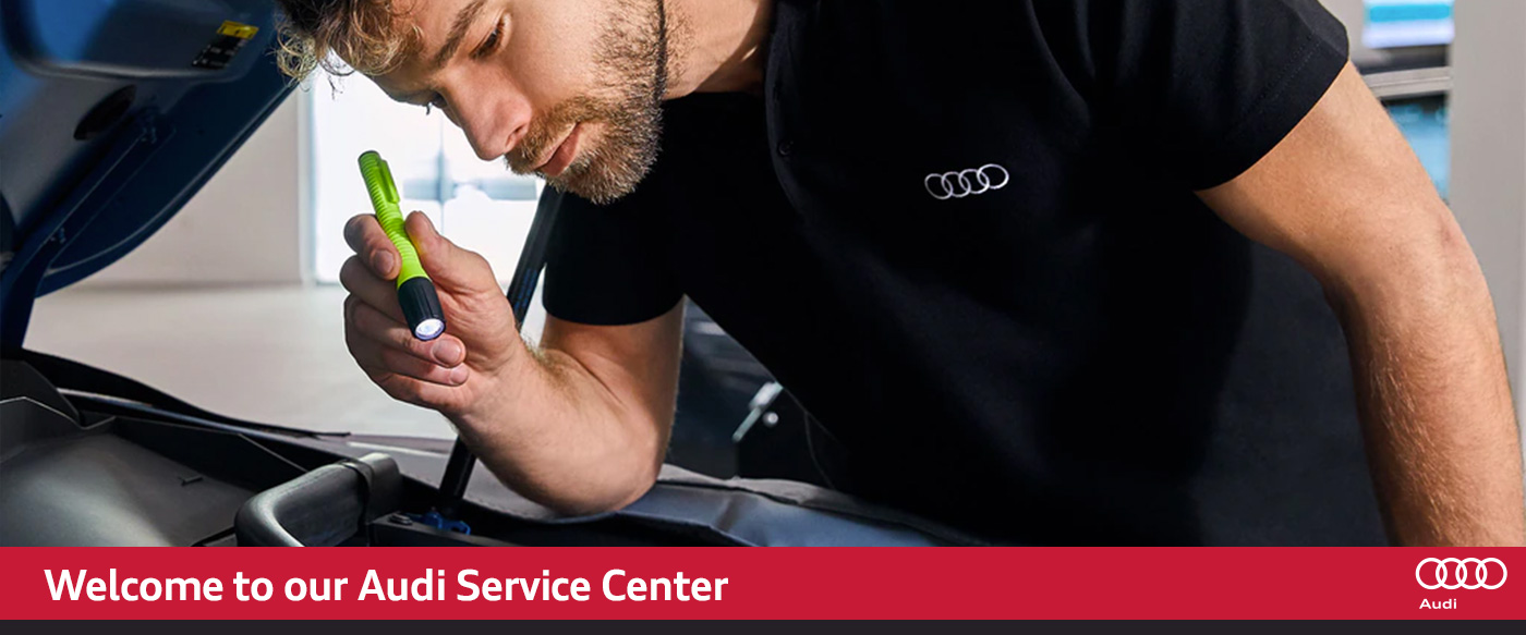 Audi Service Header