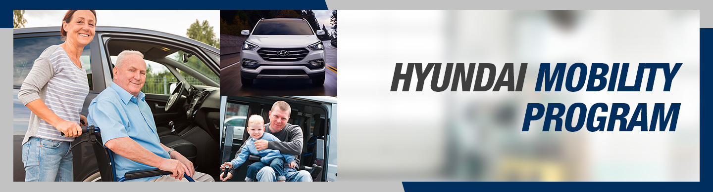 hyundai finance module