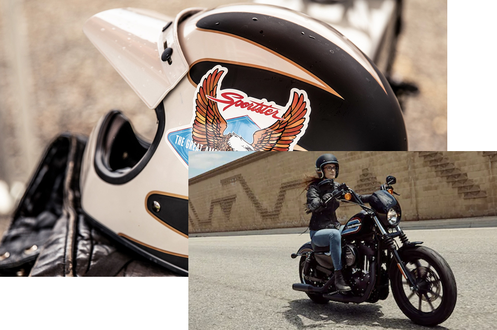 2020 Harley-Davidson Sportster Family fun ride