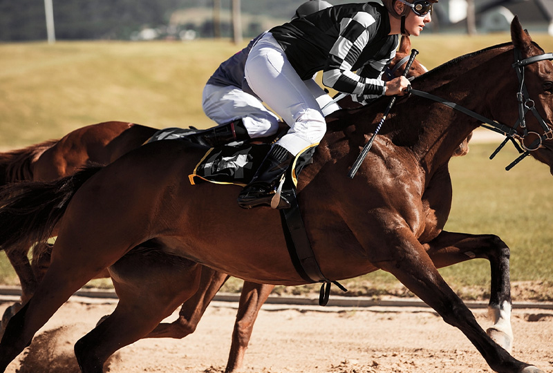 2020 Black-Label-Continental Thoroughbred