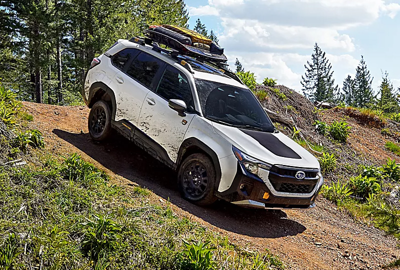 2025 Subaru Forester Wilderness Coming Soon design
