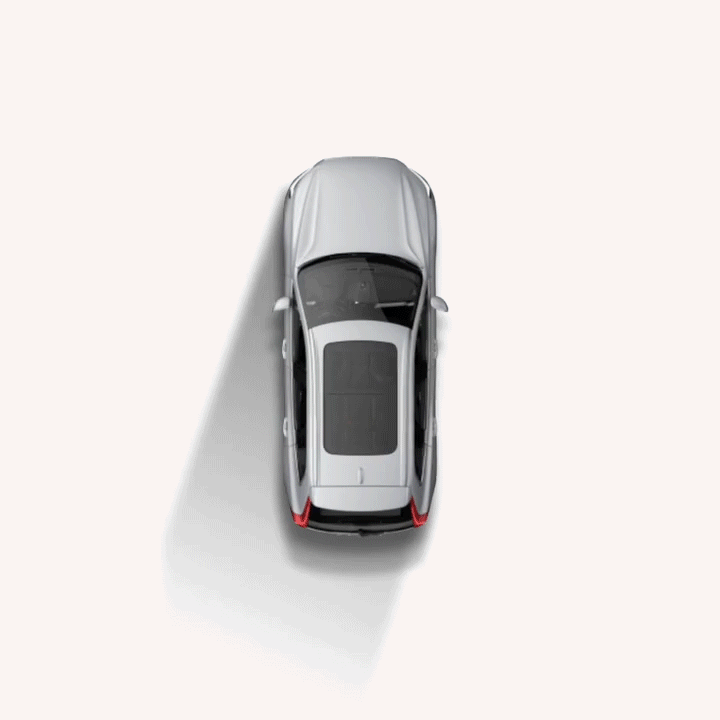 Surround view camera