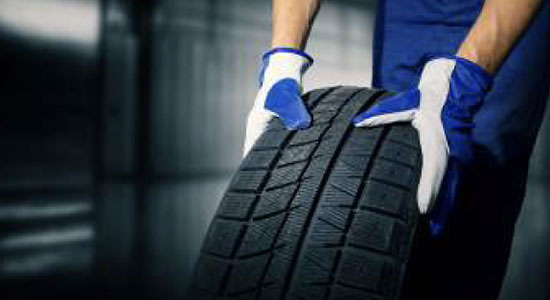 Triton Excess Wear & Use Protection Page - examples