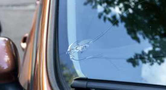 Triton Excess Wear & Use Protection Page - examples