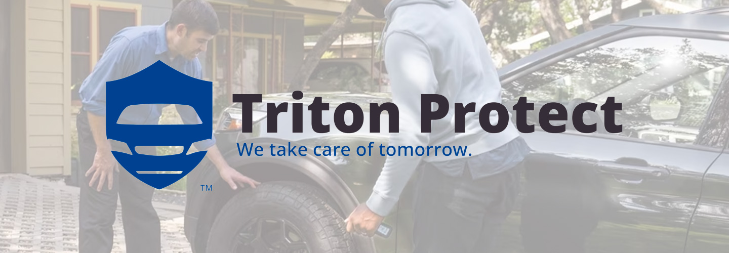 Triton GAP Page - Header