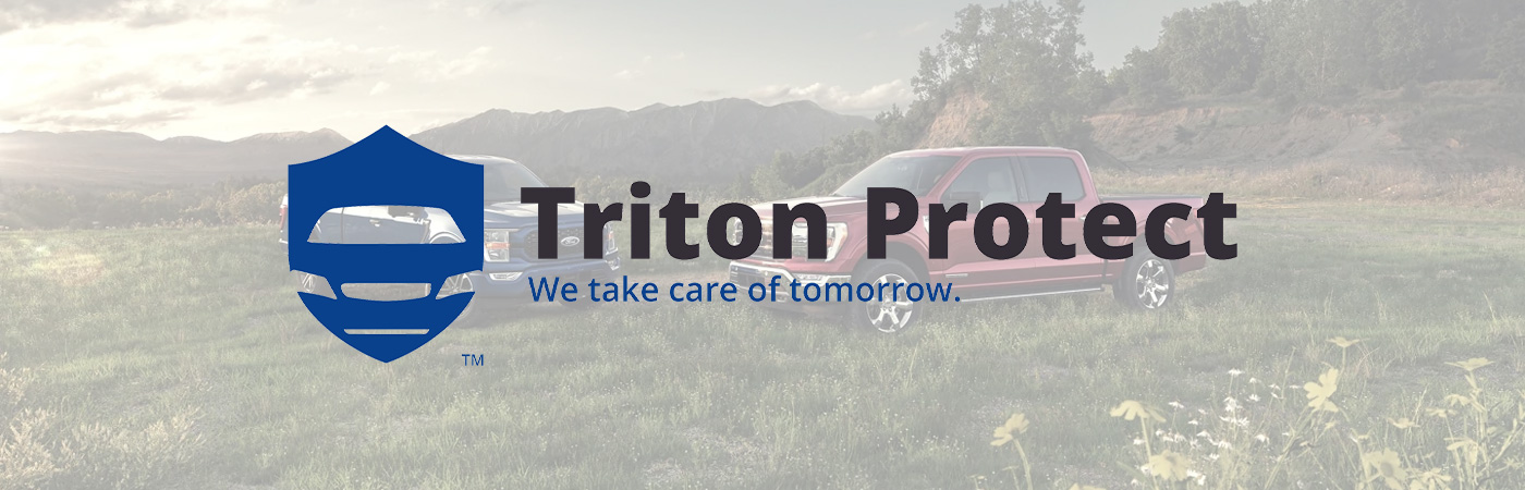 Triton Protect