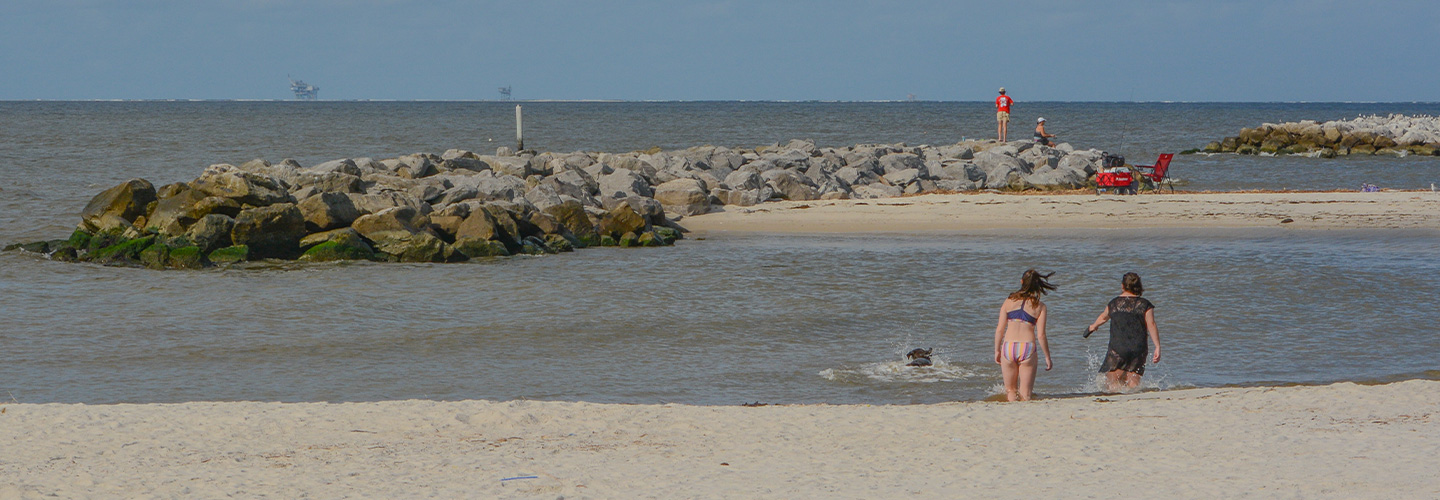 Mobile County header