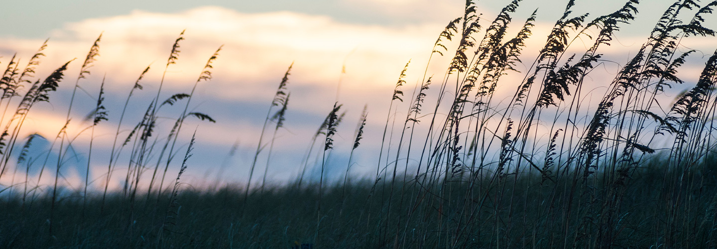 Pensacola Fl header