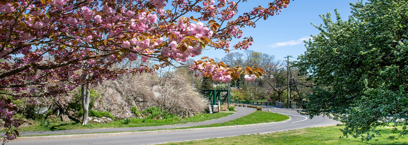 INEOS Grenadier dealer Greenwich CT city page 