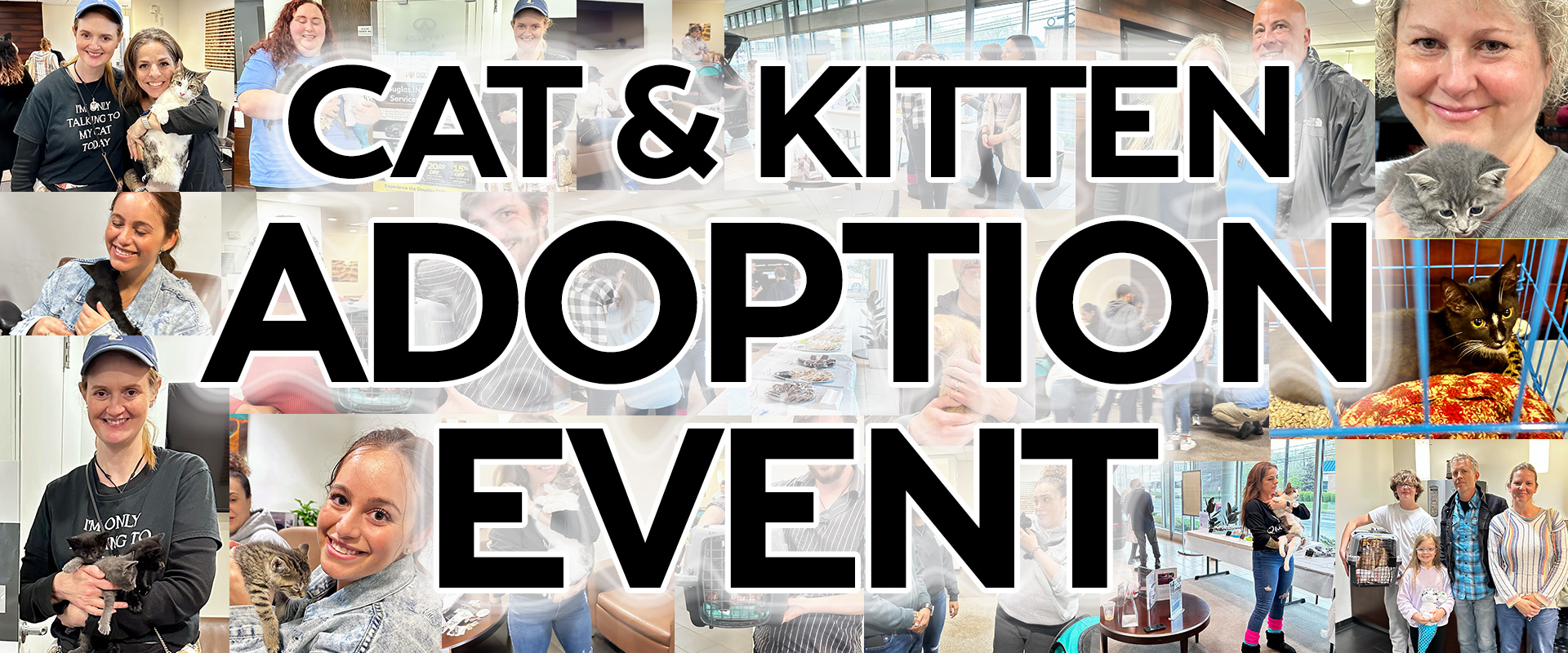 Finding Forever Homes: A Recap of Douglas INFINITI's Heartwarming Cat