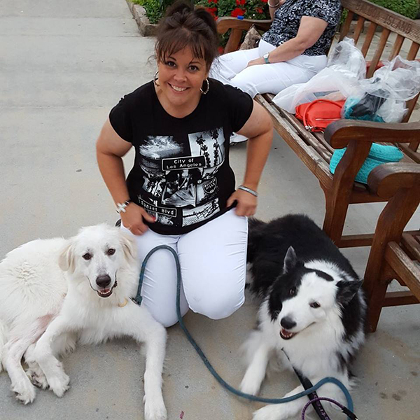 rescue dog