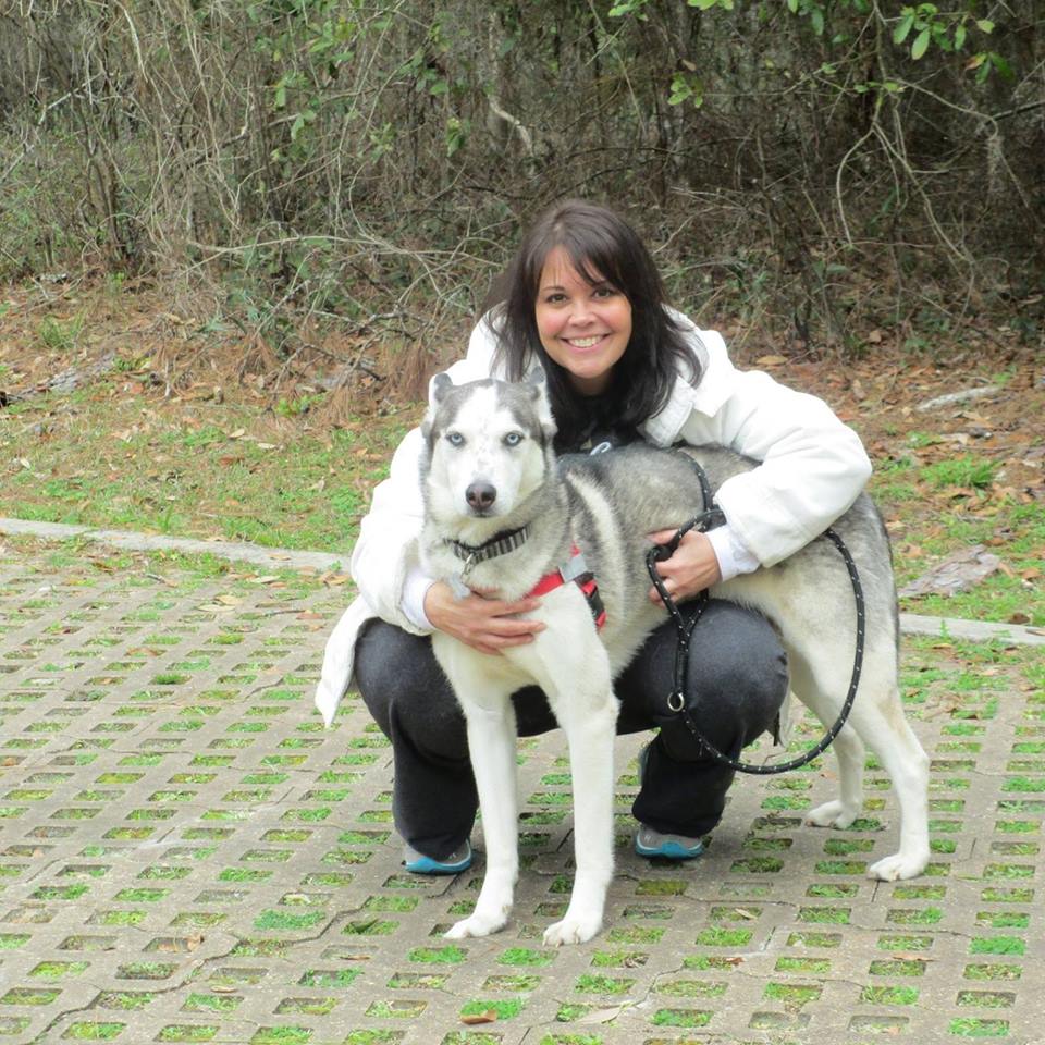 rescue dog