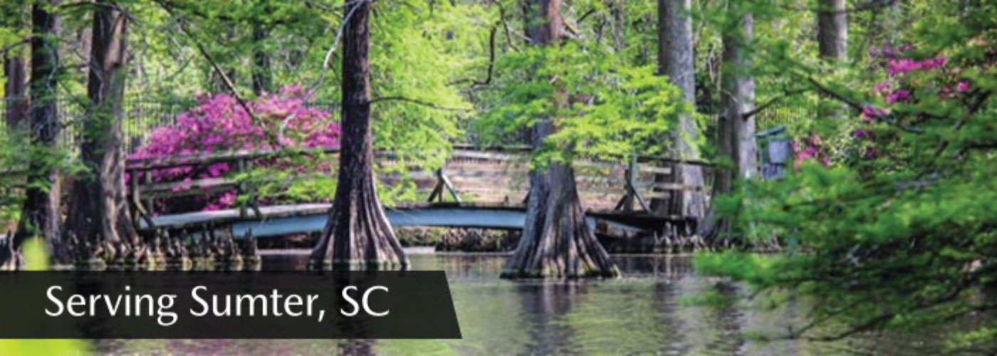 Sumter City Page      header