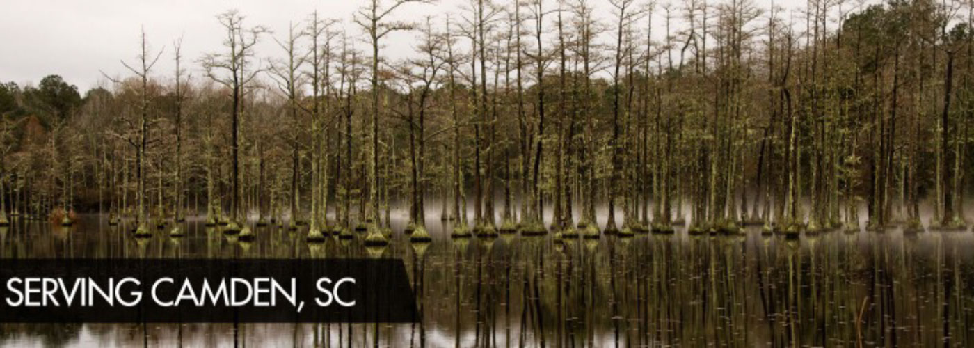 Camden, SC City Page      header