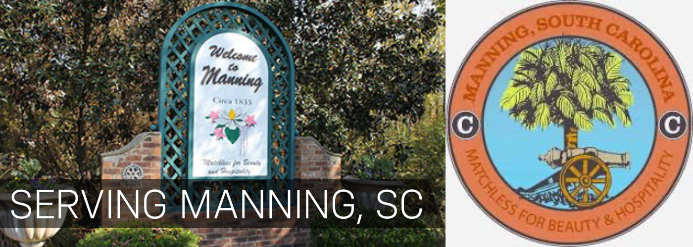 Manning, SC City Page      header