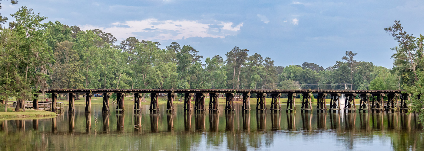 Thomasville, GA city page - Header