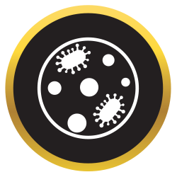 Parks Plus Landing Page - Sanitizer