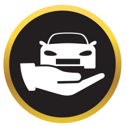 Parks Plus Landing Page - Stolen Vehicle