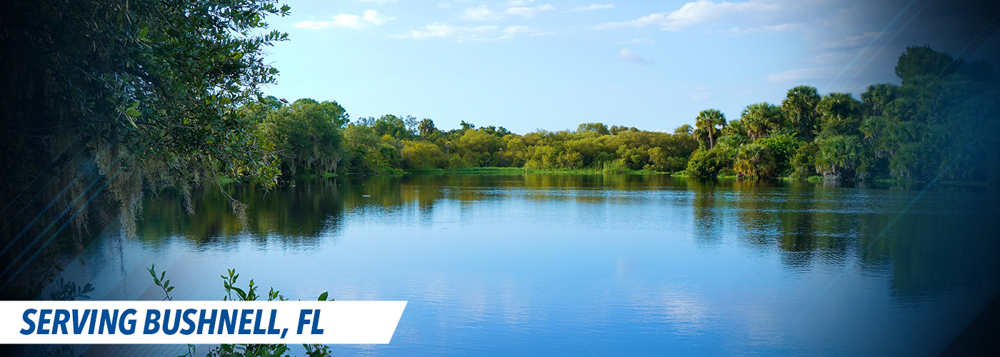 bushnell City Page Header