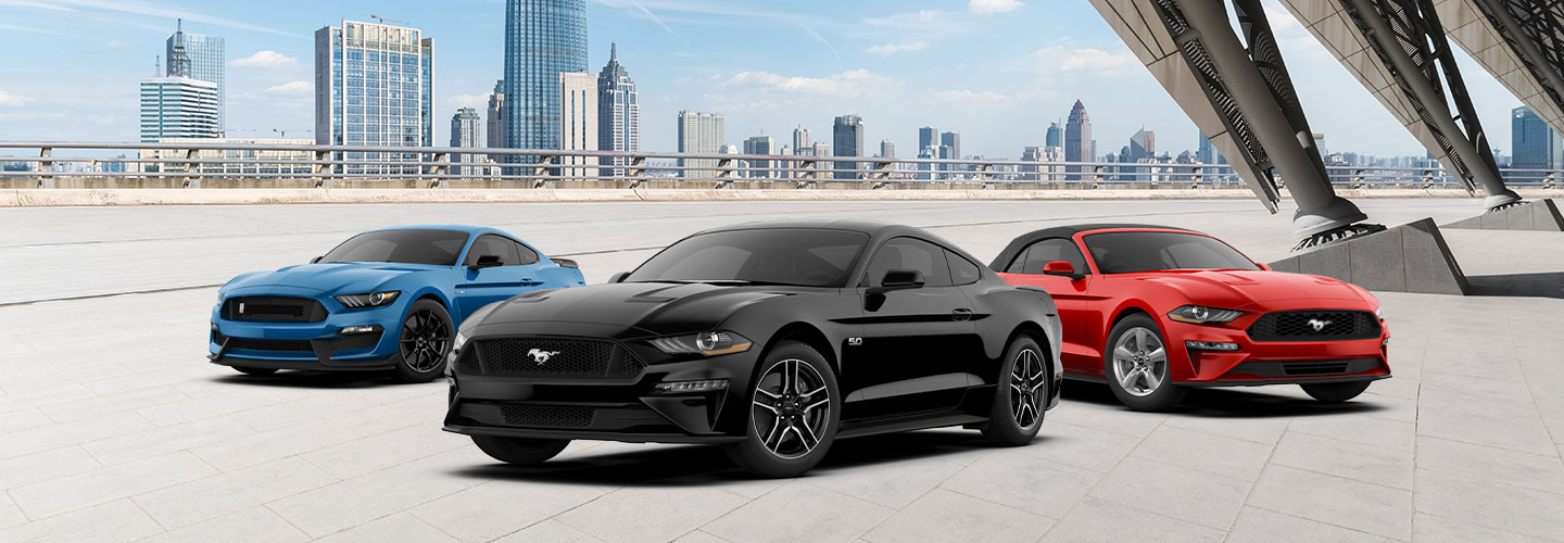 Used Ford Mustang - Header