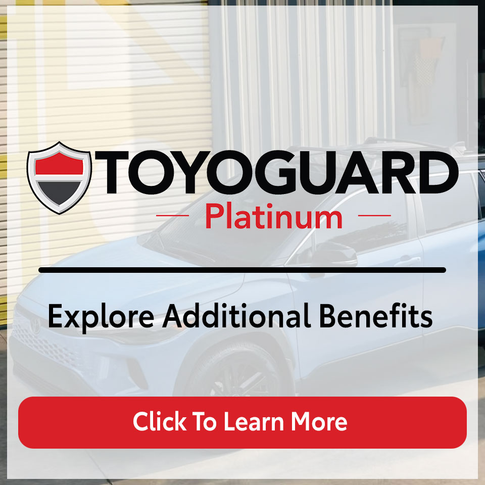 Toyota Care & ToyoGuard Landing button2
