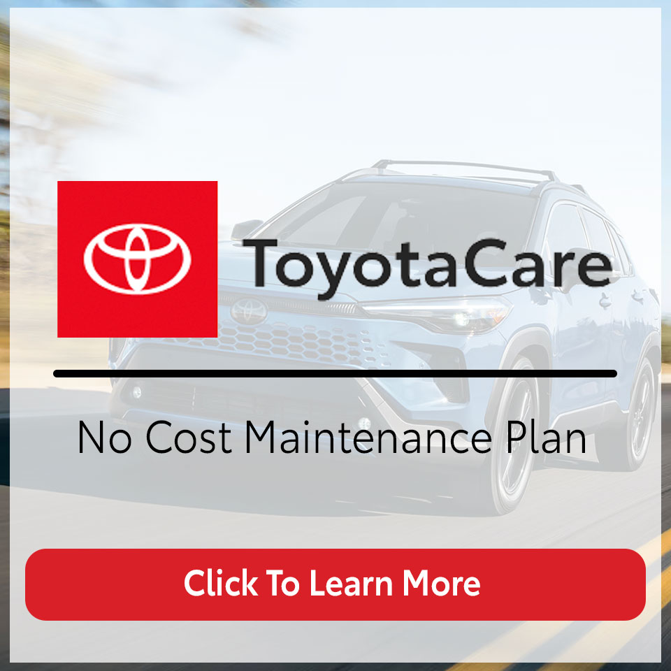 Toyota Care & ToyoGuard Landing button1