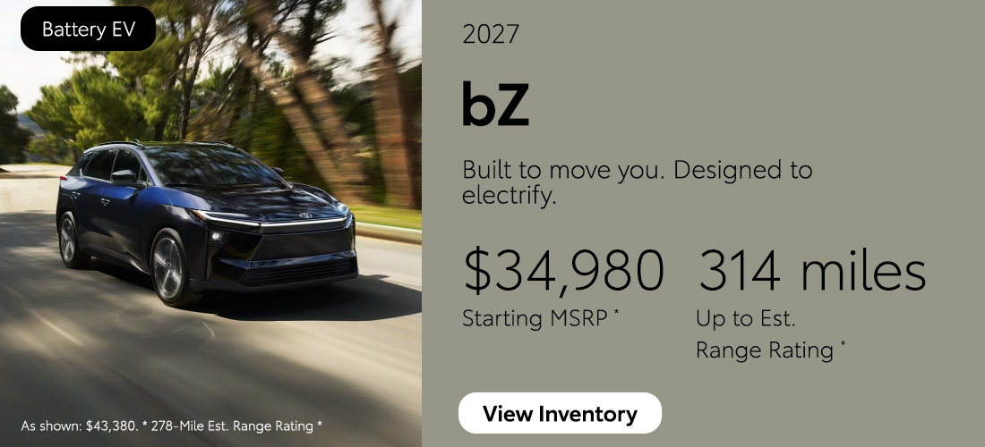 Battery EV - bz