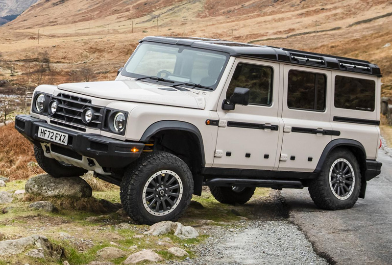 Colors - Magic Mushroom