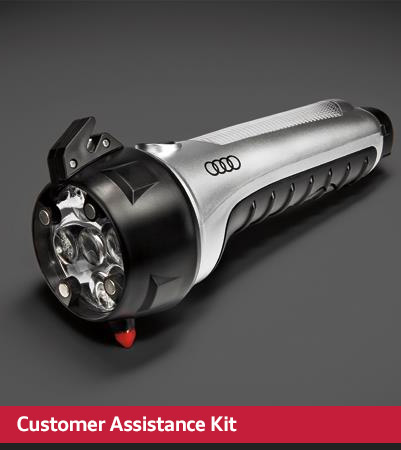 customer assistance