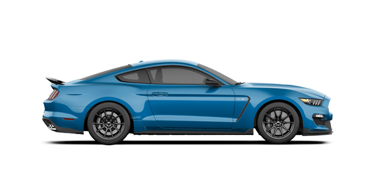 ford mustang shelby gt350 graphic