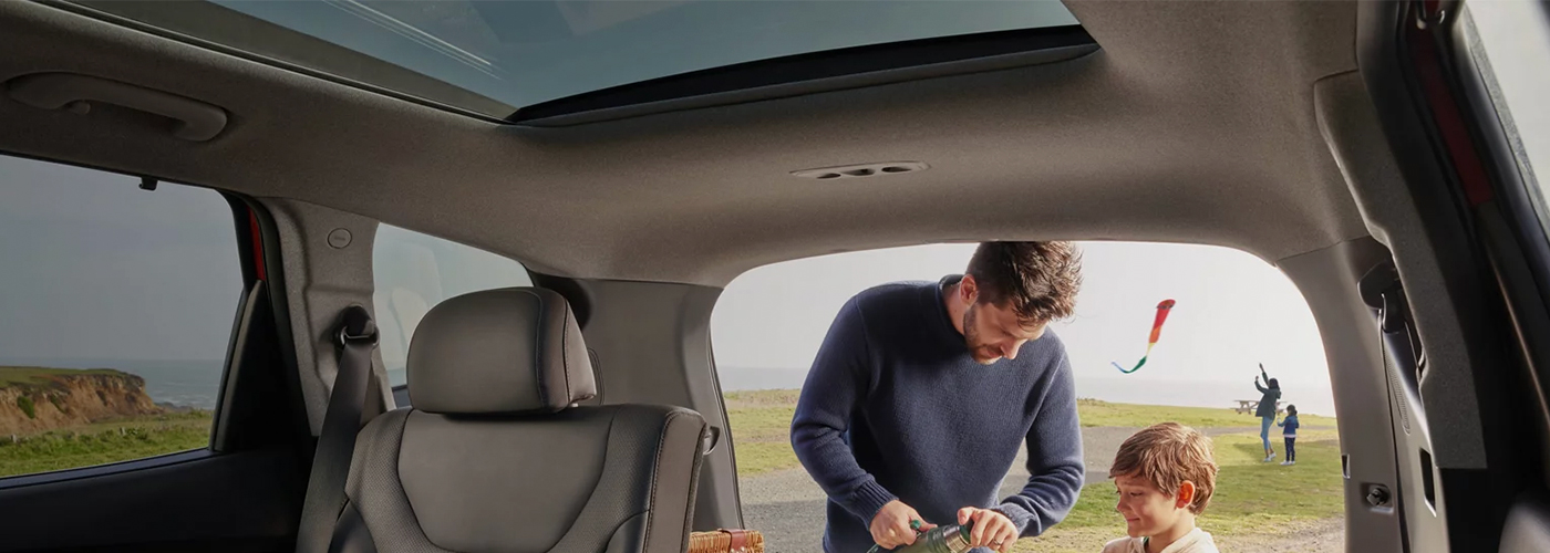 Hyundai Ownership Assurance - Header