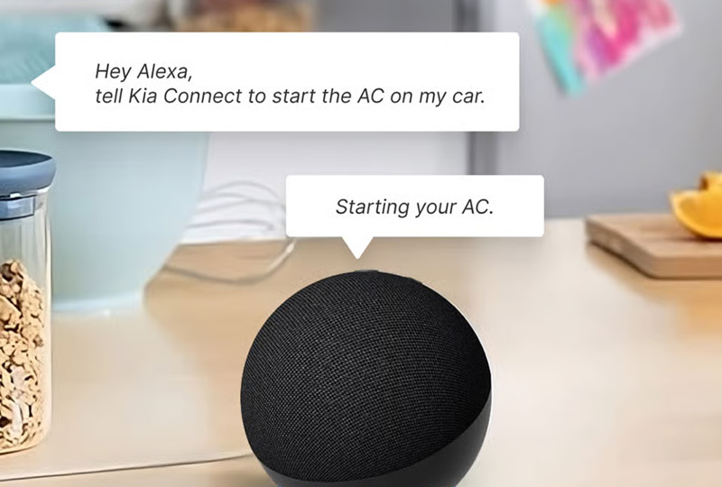 EV 101 - Voice Assistant
