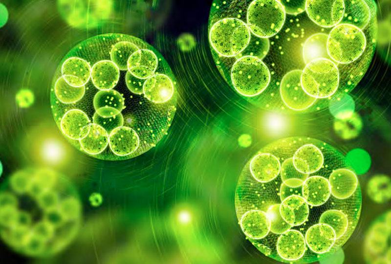 Innovation Environment - carbonfuel