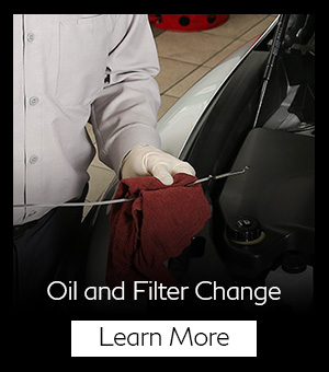 infiniti service module oil