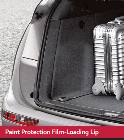 protection film