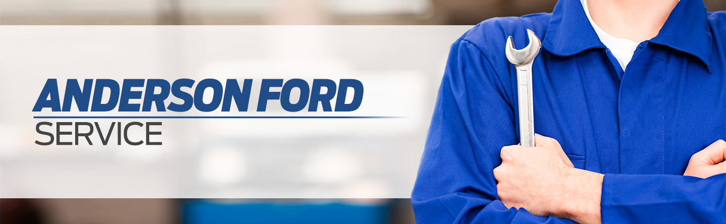 Ford Service Modules header