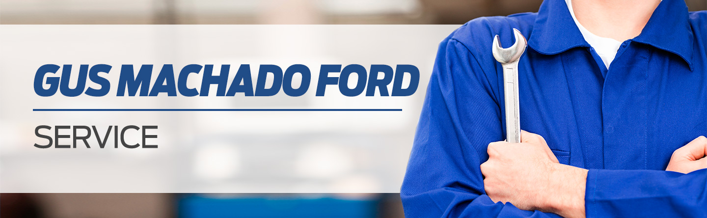 Ford Service Modules header