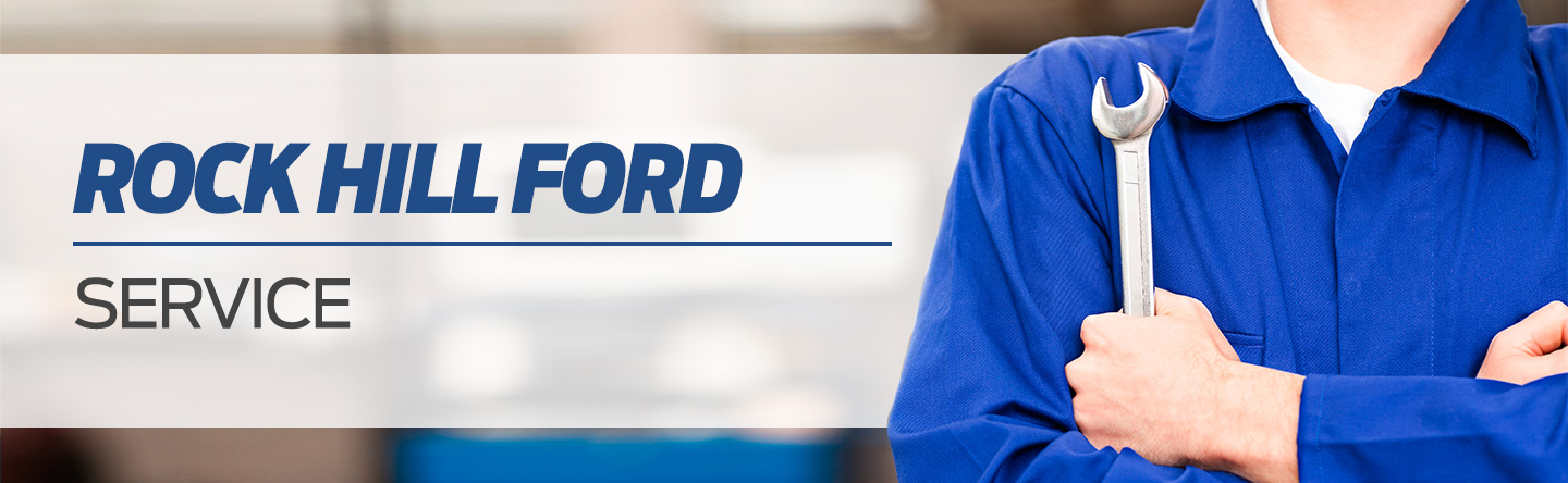 Ford Service Modules header