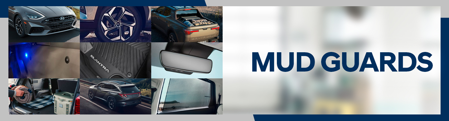 hyundai modules