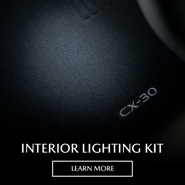 interior lighting kit