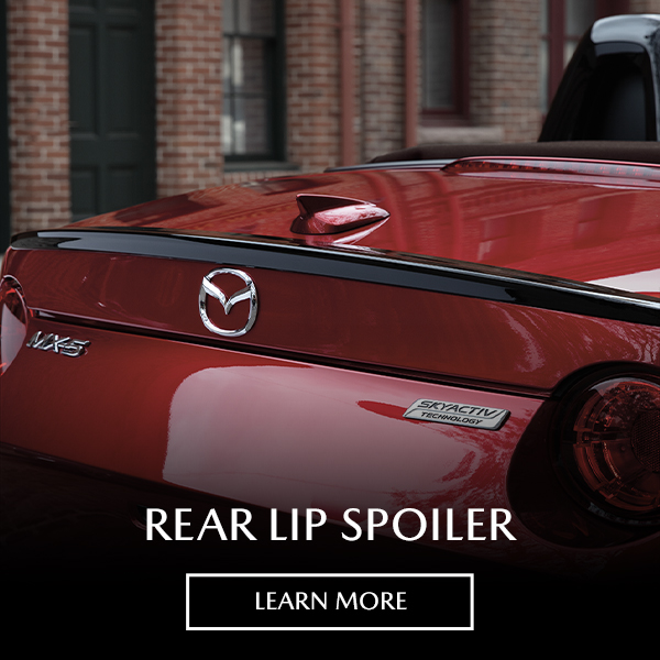 rearlipspoiler