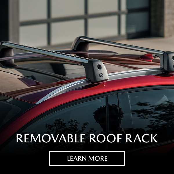 removableroofrack