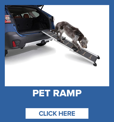 petramp