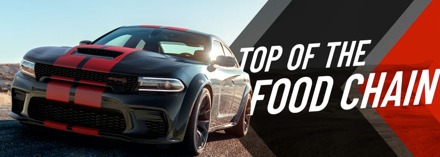 2023 DODGE CHARGER