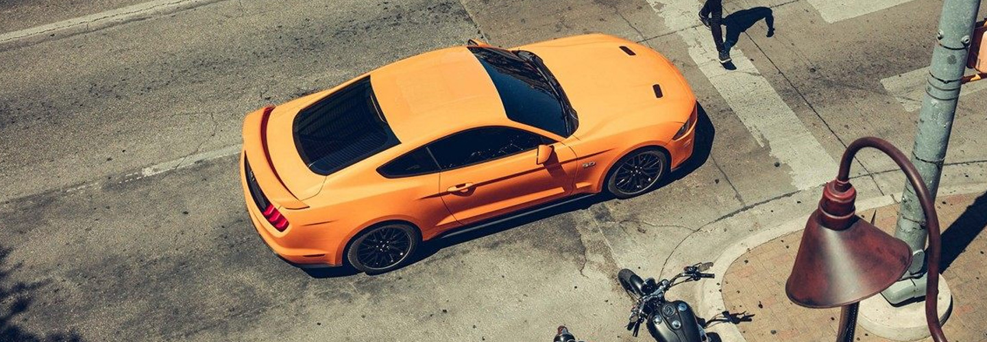 2019 Ford Mustang Bill Currie Ford in Tampa FL