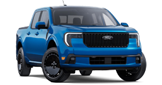 Ford     trims