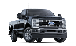 Ford     trims