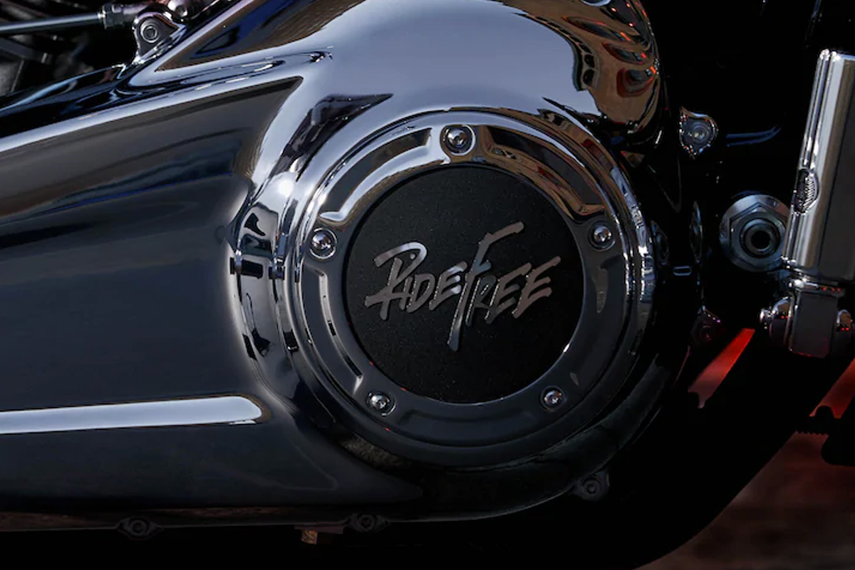 2020 Harley-Davidson softail gallery